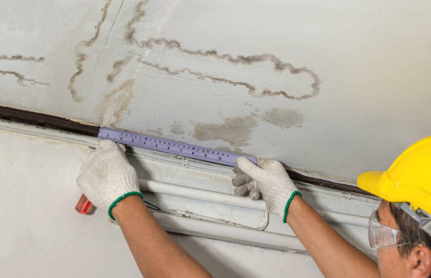 Reliable Structural Drying contractor in Newark, NY by Water Damage Irwin